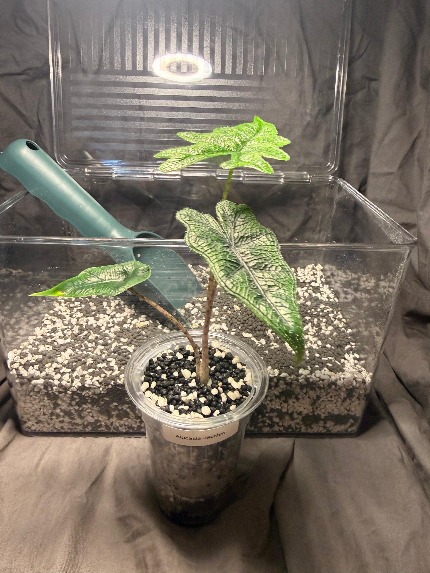 Stratum perlite blend 10L